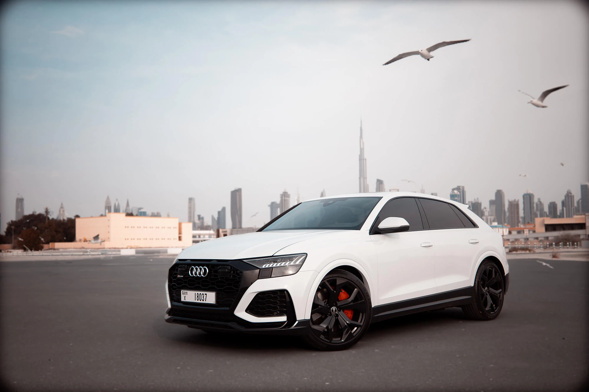 Audi RSQ8 Rental Dubai