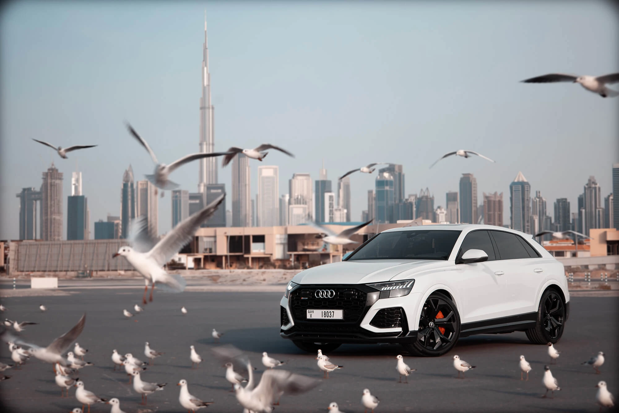 Audi RSQ8 Car Hire Dubai